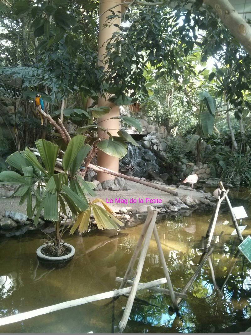 Les Bois Francs CENTER PARCS : Avis
